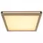 Plafonjera 41589D2 LED  PL1,4