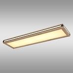 Plafonjera 41589D4 LED PL1