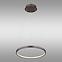 Svjetiljka Ralph 67192-19BR LED 19W LW1