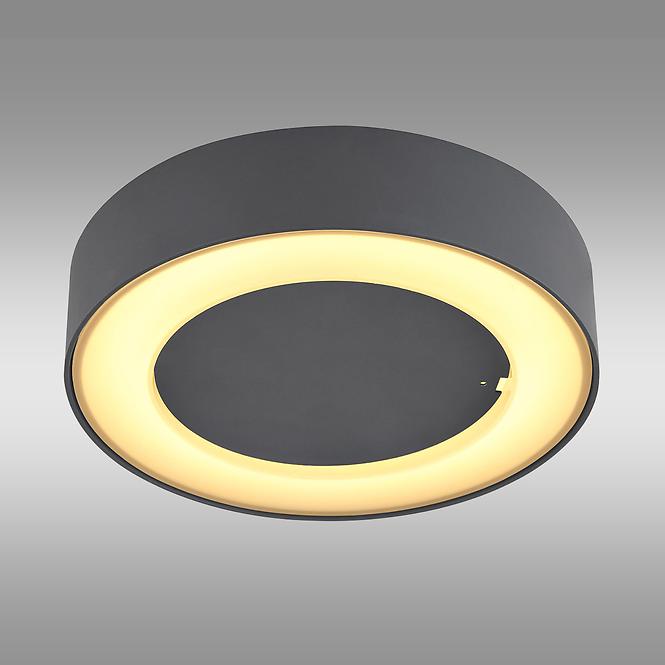 SVJETILJKA 32136D LED 12W IP54 K1