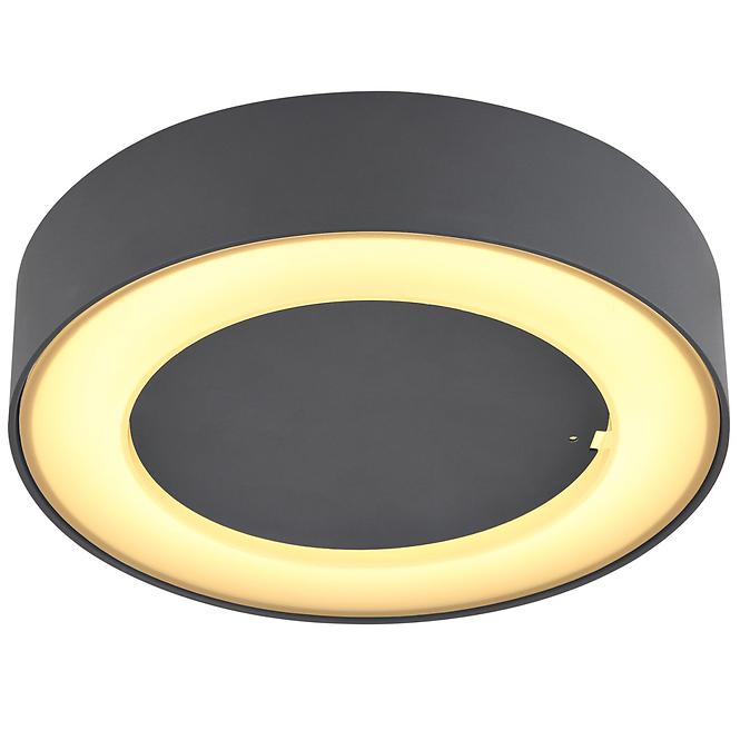 SVJETILJKA 32136D LED 12W IP54 K1