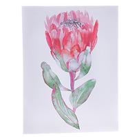 Slika na platnu 30 x 40 x 1.5 cm co602