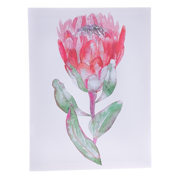 Slika na platnu 30 x 40 x 1.5 cm co602