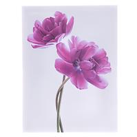 Slika na platnu 30 x 40 x 1.5 cm co603