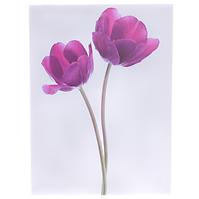 Slika na platnu 30 x 40 x 1.5 cm co604