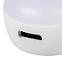 SVJETILJKA CALIZA 37390 LED CCT W,9