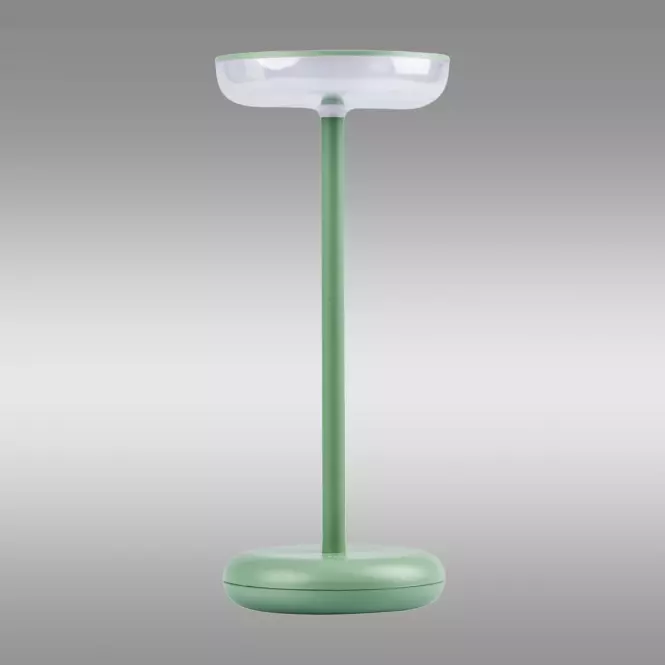 SVJETILJKA FLUXY 37313 LED IP44 GN   LED