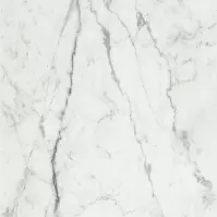 Dekorativni PVC zidni panel MOTIVO Blank Marble