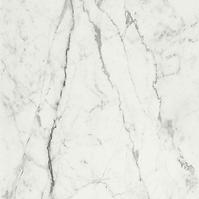 Dekorativni PVC zidni panel MOTIVO Blank Marble