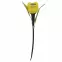 Solarna svjetiljka TULIPAN 38CM EKO0607,3