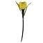 Solarna svjetiljka TULIPAN 38CM EKO0607,3