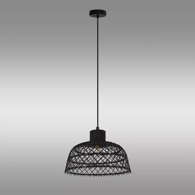 SVJETILJKA AUSNBY 43288 LW1