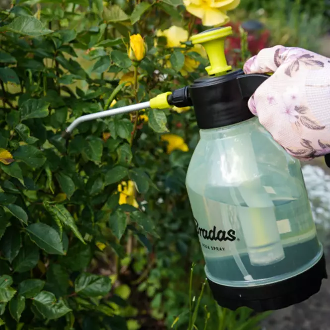 Tlačna prskalica 1.5L Aqua Spray Clear AS0150CL,4