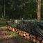 Kamuflažna cerada CAMOforest 3 x 3 m 90 g. PLCF903/3,5