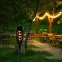 Solarna lampa 46810 Flame ažur Black,10