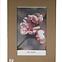 CLIP okvir za slike 50x70 cm pleksiglas
