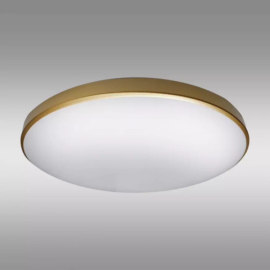 Svjetiljka Q – 240CP Led 12W PL1
