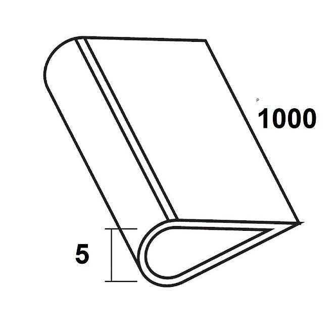Stezni profil pvc bijela 5x1000