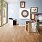 LAMINATNI POD 10MM AC5 4V 8155 APPALACHIAN HICKORY NEW,4