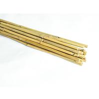 Kolac od bambusa 150 cm 12/14 mm 20 kom