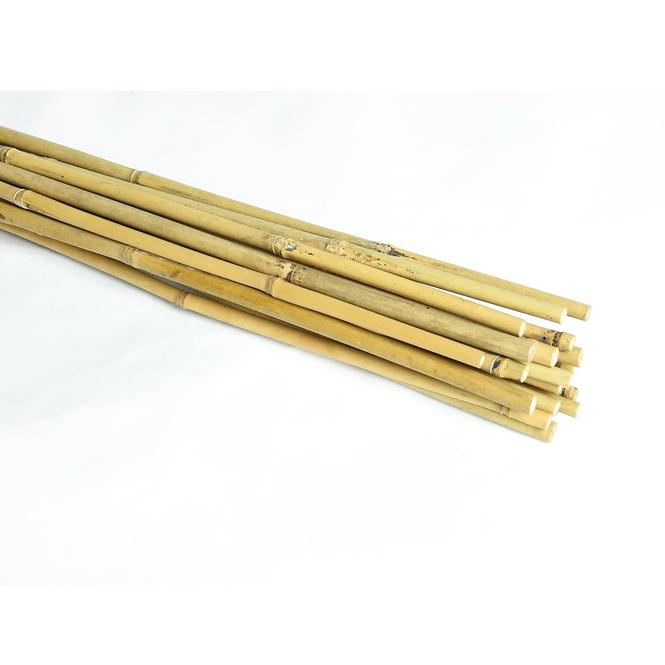 Kolac od bambusa 180 cm 14/16 mm 10 kom