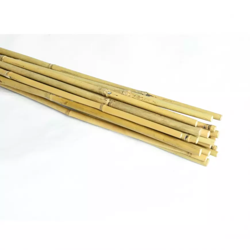 Kolac od bambusa 180 cm 14/16 mm 10 kom
