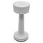 Stolna svjetiljka Lira 49022 white USB LB1,3