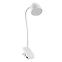 SVJETILJKA TESA WHITE LED 7W LB1