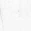 Gres Vernaza Blanco 80/80,4