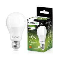 Žarulja Lumiled A60 8W 840 E27 806LM 4000K