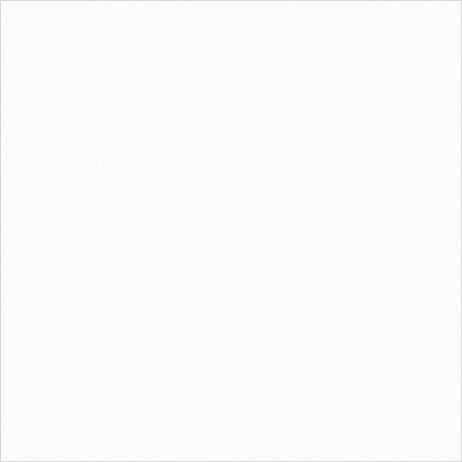 Monolook White Lappato 59,8/59,8