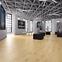 Laminat Hrast Colmar 8mm AC4 50524,4