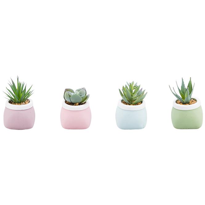 SUKULENTI 7-10CM MIX 93061