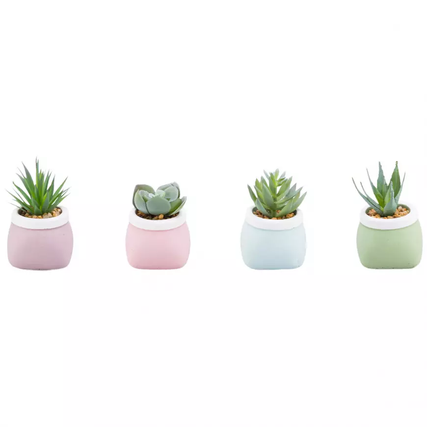 SUKULENTI 7-10CM MIX 93061