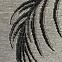 Tepih Plutus 0,8/1,5 1020 0151,4