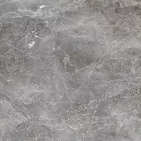 Gres Mersion Grey Pol. 60/60