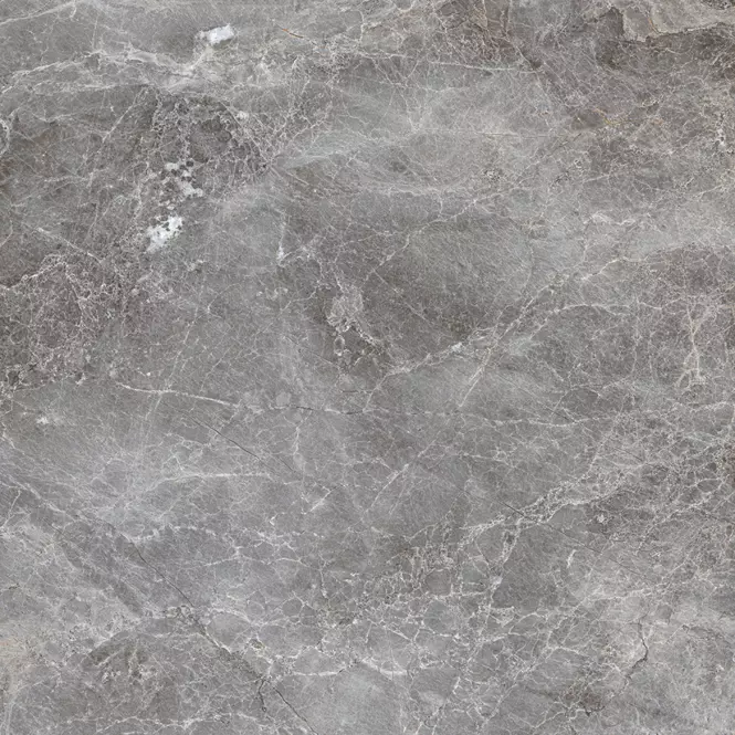 Gres Mersion Grey Pol. 60/60