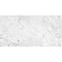 Arabescato Sintered 4D 60/120
