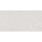 Cardosia Ash Stark Rustic 60/120
