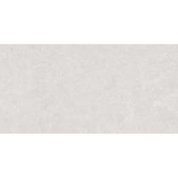 Cardosia Ash Stark Rustic 60/120