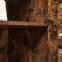 Ormarić za kupaonicu Foggia Rustic Brown,8