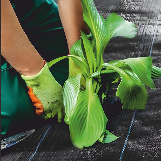 Agrotekstil za malčiranje 3,2x5 m 50g/m2 crni