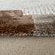 Tepih Frisee Modda 1,4/2,0 4532-360 krem,4