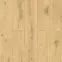 Laminat Hrast Oviedo 8mm AC4 Exclusive 50524