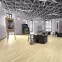 Laminat Hrast Pampeluna 8mm AC4 Exclusive 50514,4