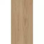 Treniwood Beige 59,8/119,8