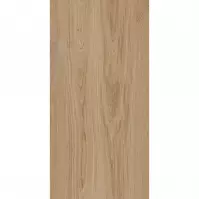 Treniwood Beige 59,8/119,8