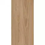 Treniwood Brown 59,8/119,8