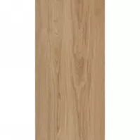 Treniwood Brown 59,8/119,8