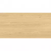 Gres Legno Tavola Beige 60/120